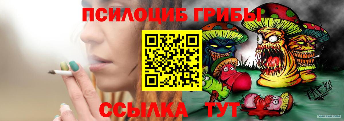 Псилоцибиновые грибы Psilocybe  Псилоцибиновые грибы Cubensis  Березники  Вход с VPN 
