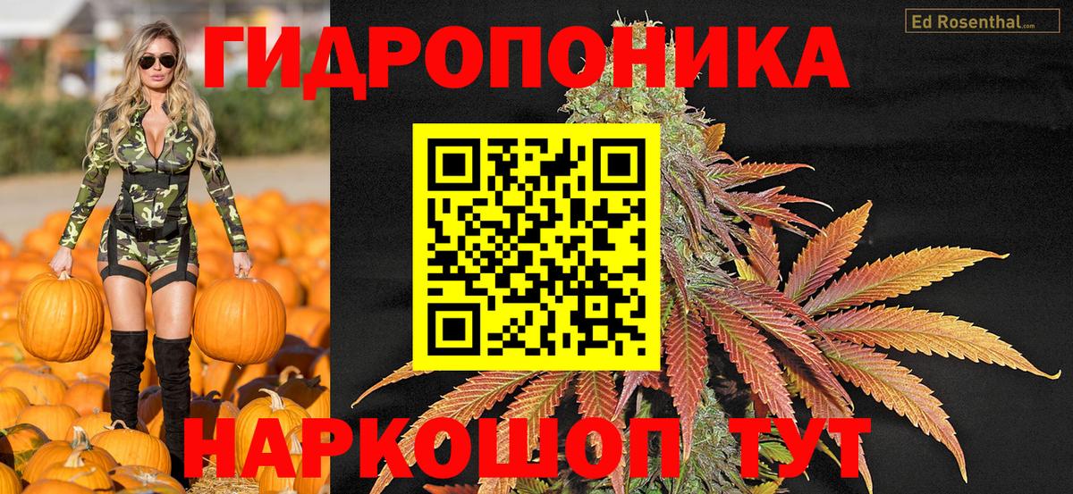 Канабис White Widow  Бошки марихуана LSD WEED  Вход с VPN  Канабис THC 21%  Березники 